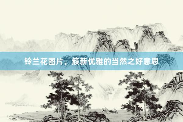 铃兰花图片，簇新优雅的当然之好意思