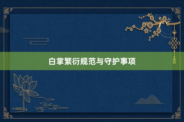 白掌繁衍规范与守护事项