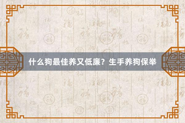 什么狗最佳养又低廉？生手养狗保举