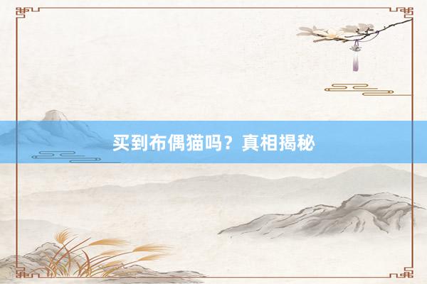 买到布偶猫吗?真相揭秘